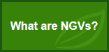 NGV- What are NGVs