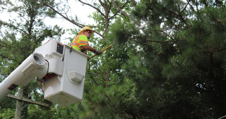 Mantenimiento de árboles y energía confinable. – Easton Utilities